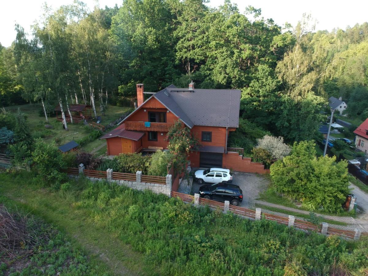 Chata Gorska Sowa Dla 12 Osob, 4 Sypialnie,Salon Z Kominkiem Villa Podgorzyn Exterior photo