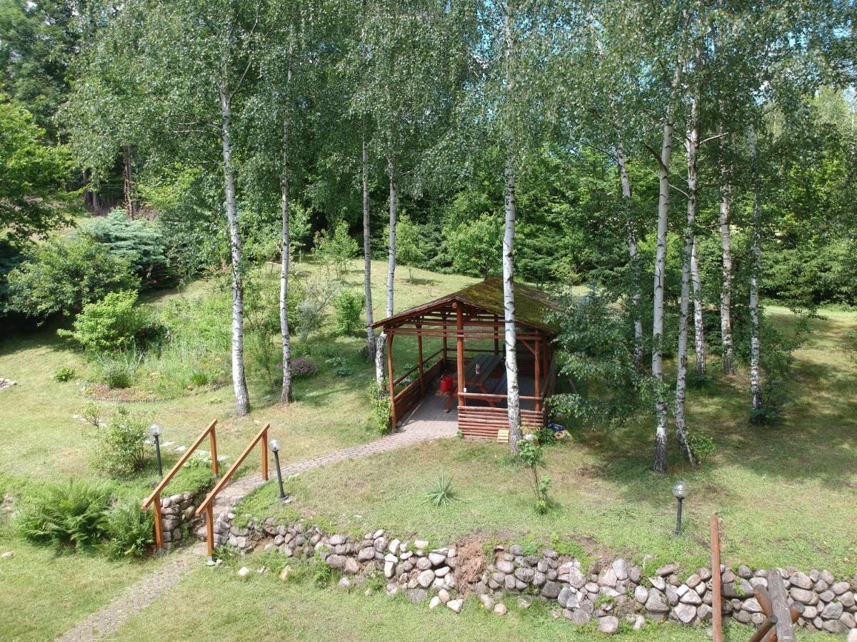 Chata Gorska Sowa Dla 12 Osob, 4 Sypialnie,Salon Z Kominkiem Villa Podgorzyn Exterior photo