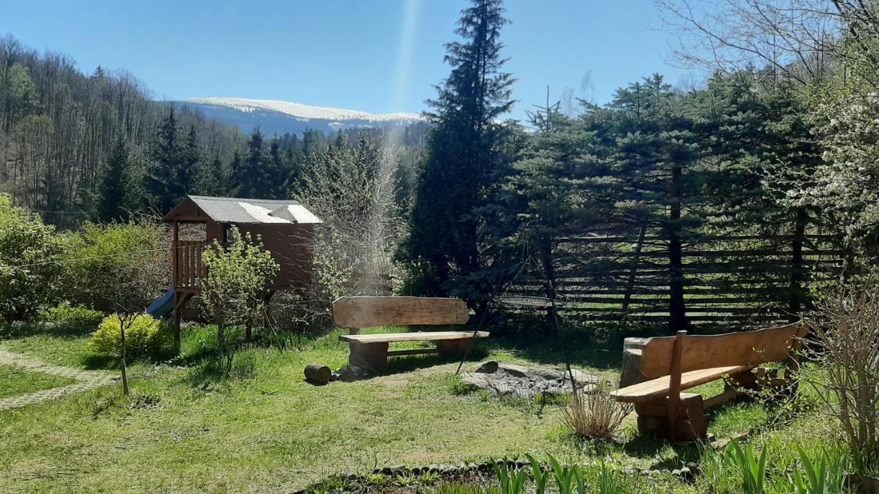Chata Gorska Sowa Dla 12 Osob, 4 Sypialnie,Salon Z Kominkiem Villa Podgorzyn Exterior photo