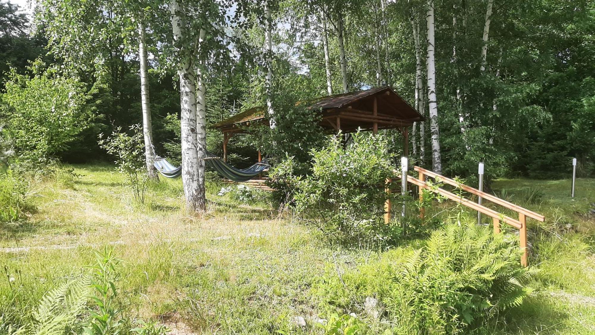Chata Gorska Sowa Dla 12 Osob, 4 Sypialnie,Salon Z Kominkiem Villa Podgorzyn Exterior photo